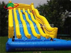 Giant inflatable slide with pool & Coustomized Yours Today
