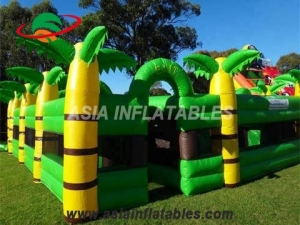 Inflatable Labyrinth Maze